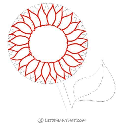 Drawing step: Draw out the seed disk and sunflower petals
