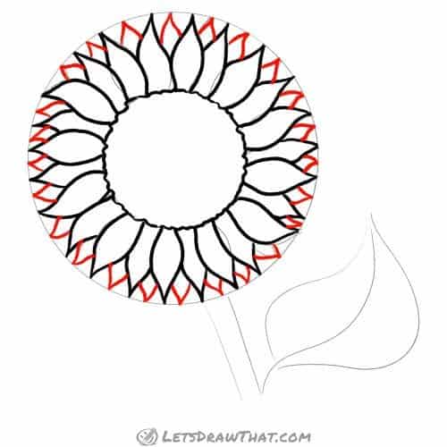 Drawing step: Draw the outer petals