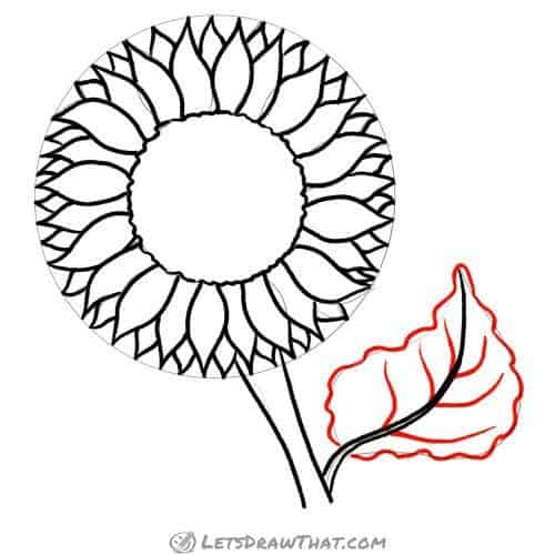 Drawing step: Draw the leaf
