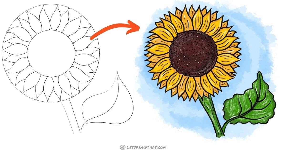 How to Draw a Sunflower