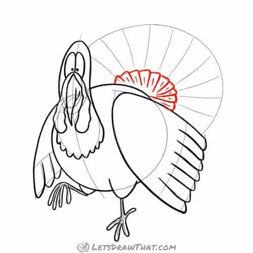 Drawing step: Draw the first row of tail feathers