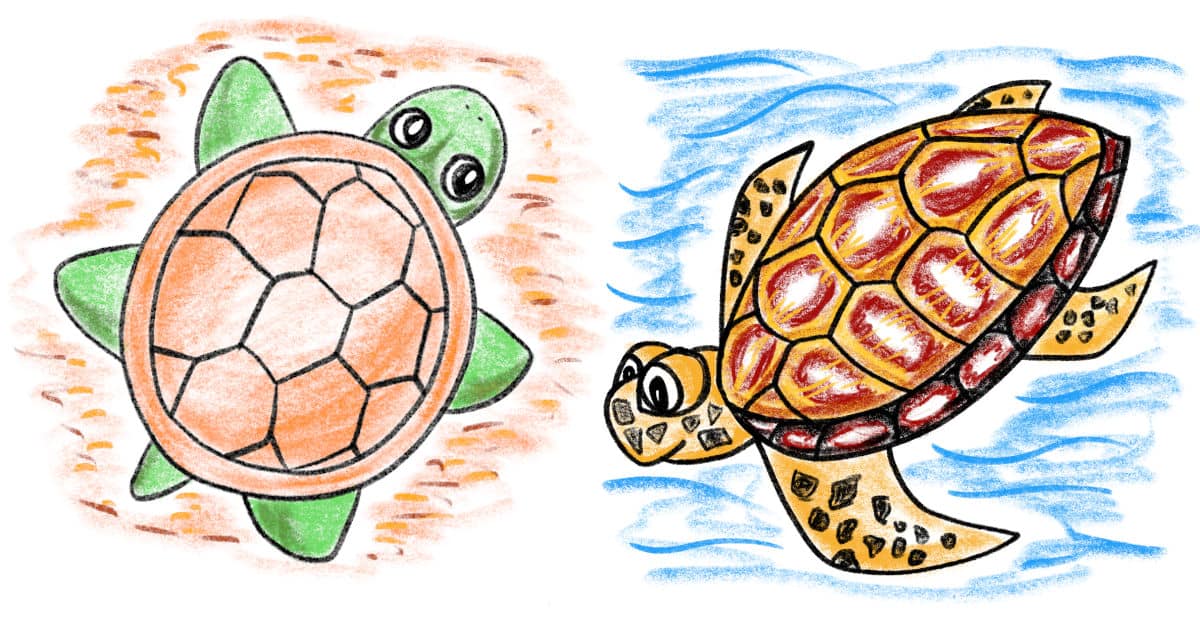 How to Draw a Turtle: Two Different Ways