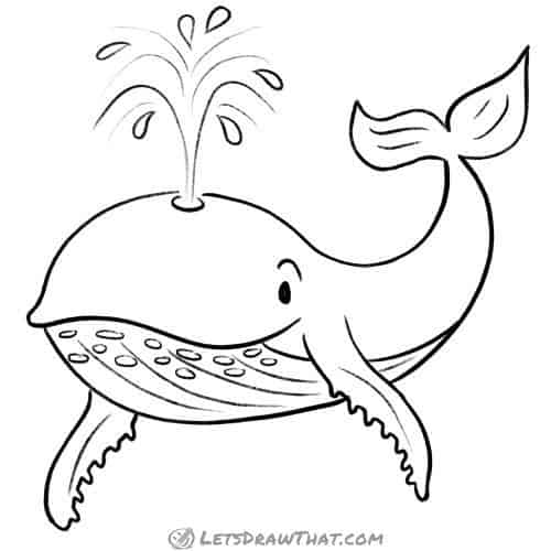 How to draw a whale: finished outline drawing