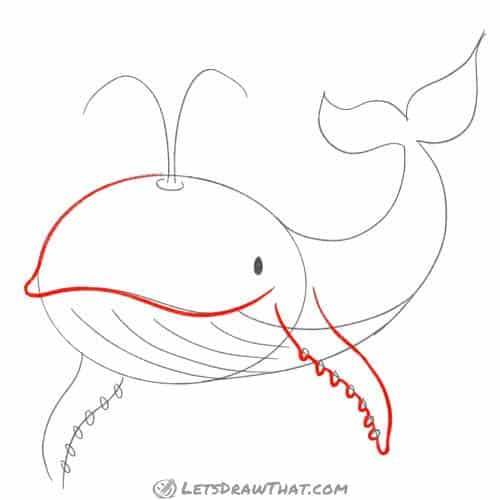 Drawing step: Outline the mouth and front flipper