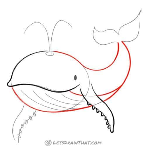 Drawing step: Draw the whale's body