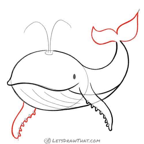 Drawing step: Draw the whale's flipper and tail