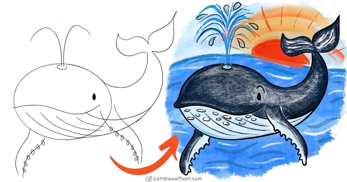 How to Draw a Whale – Cute and Cheeky Cartoon Style