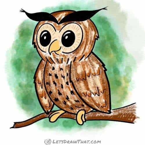 How to draw an owl: finished drawing coloured-in