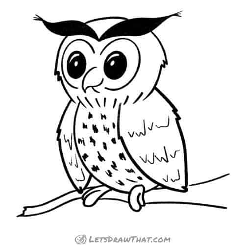 How to draw an owl: finished outline drawing