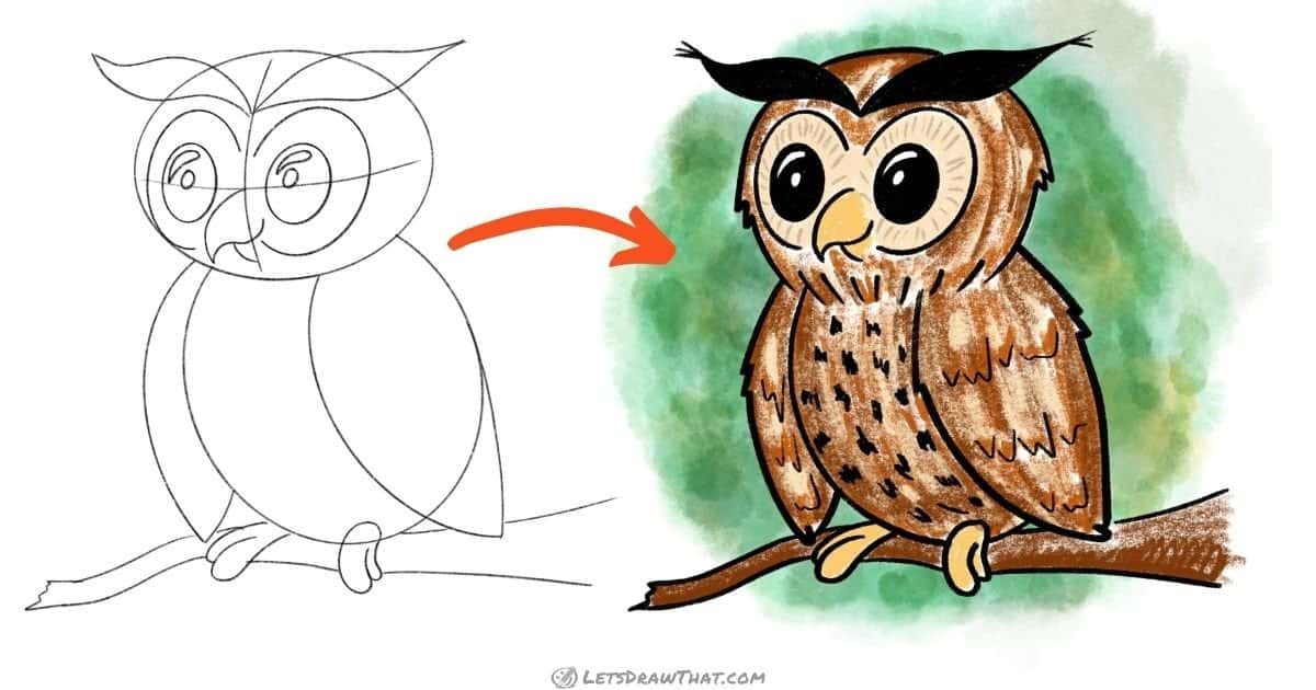 How to Draw an Owl – Simple and Cute