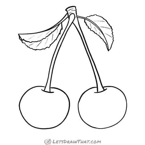 How to draw cherries: finished outline drawing