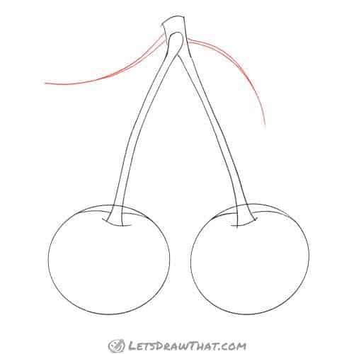 Drawing step: Draw the midribs for the leaves