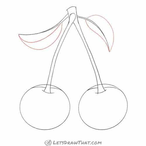 Drawing step: Draw the leaf blades