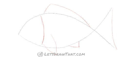 Drawing step: Add head and fins