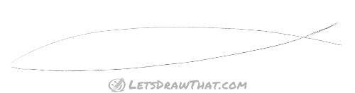 Drawing step:  Sketch the fish body