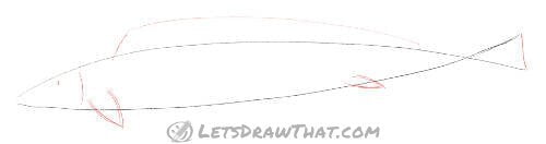 Drawing step: Draw the fins