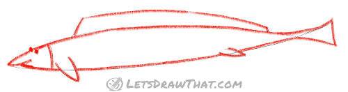 Drawing step: Outline the fish from sketch