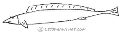 How to draw a different fish: finished outline drawing