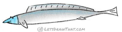 How to draw a different fish: finished drawing coloured-in