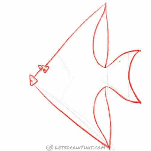 Drawing step: Draw the angelfish fish from the sketch​