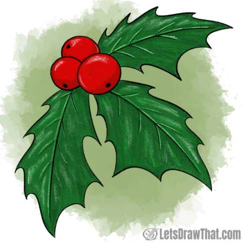 How to draw holly: finished drawing coloured-in
