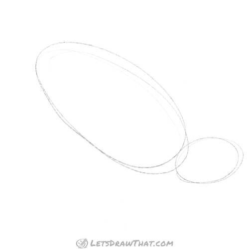 Drawing step: Sketch where the head and shell will be