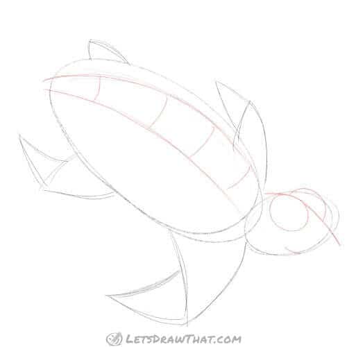 Drawing step: Sketch the face and shell ridge