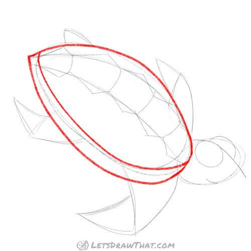 Drawing step: Draw in the shell