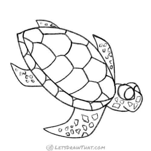 How to draw a turtle from an angle: finished outline drawing