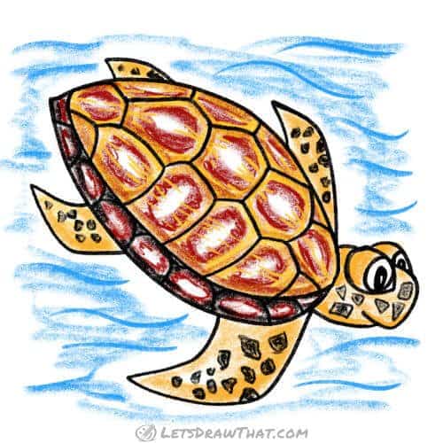 How to draw a turtle from an angle: finished drawing coloured-in