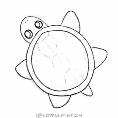 Drawing step: Sketch the central ridge for the turtle's shell pattern