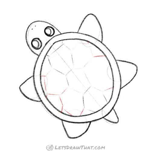 Drawing step: Add the rest of the shell pattern