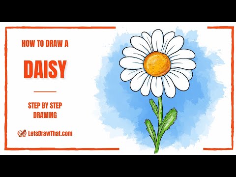 How to Draw a Daisy From Easy Simple Shapes