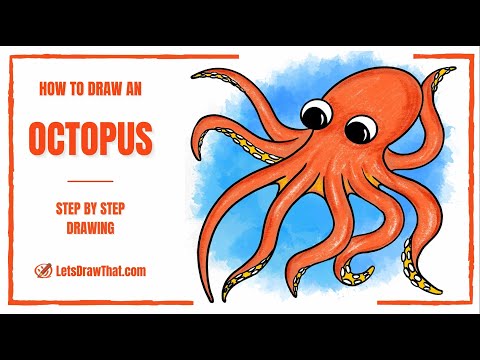 How to Draw an Octopus | An Easy Octopus Drawing