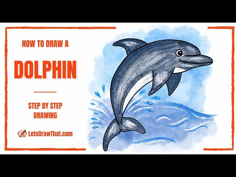 How to Draw a Dolphin – A Simple Step-by-Step Drawing