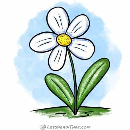 Simple flower drawing: finished drawing coloured-in