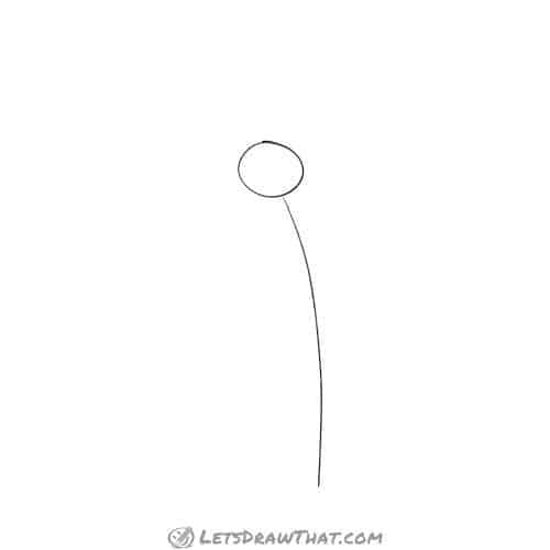 Drawing step: Draw the stem and centre of the flower
