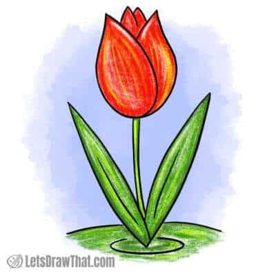 Simple tulip drawing - colored-in