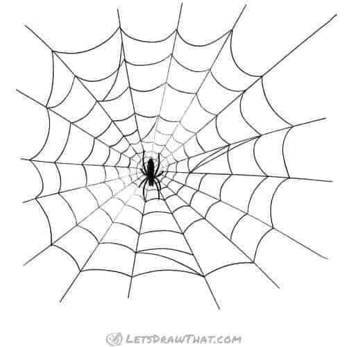 Finished spider web drawing