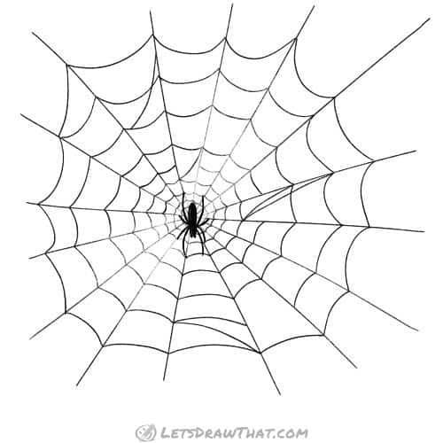 Finished spider web drawing
