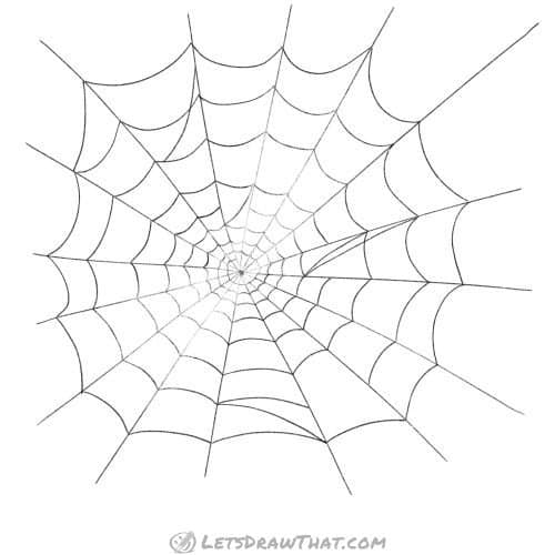Drawing step: "Disappearing" spider web drawing