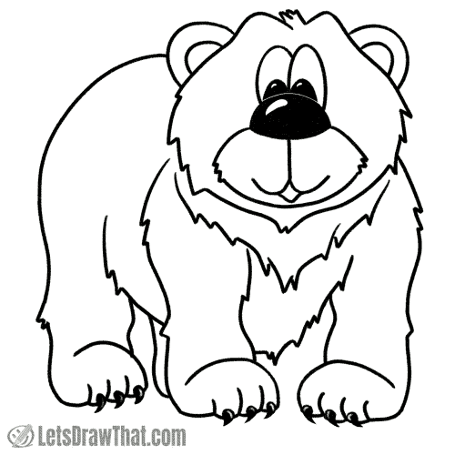 How to draw a bear: finished outline drawing