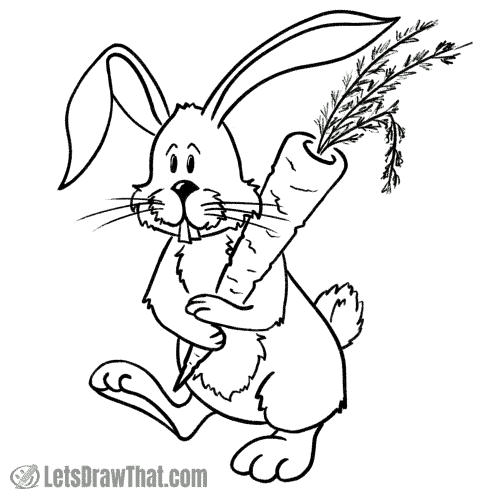 How to draw a bunny: finished outline drawing