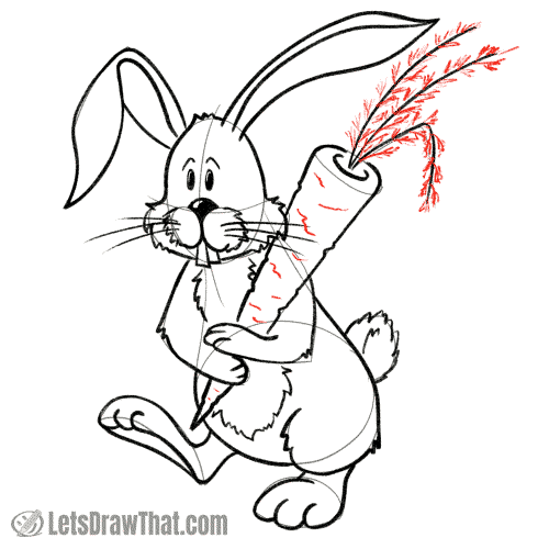 Drawing step: Add carrot details