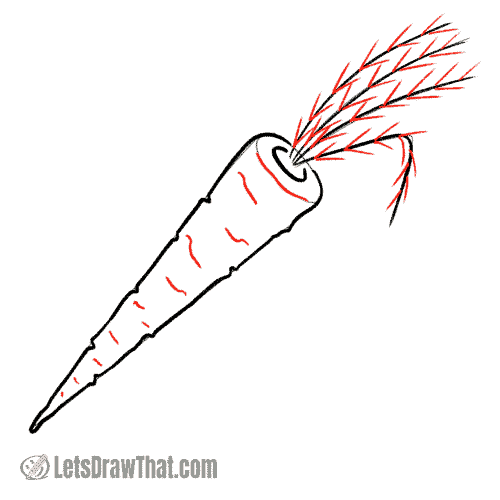 Drawing step: Draw carrot leaves and the root scars
