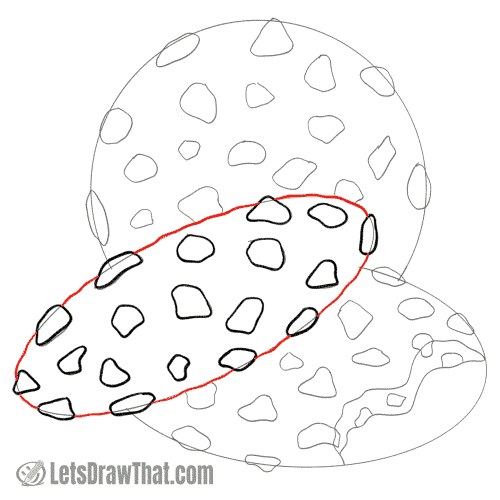 Drawing step: Outline the top cookie edge