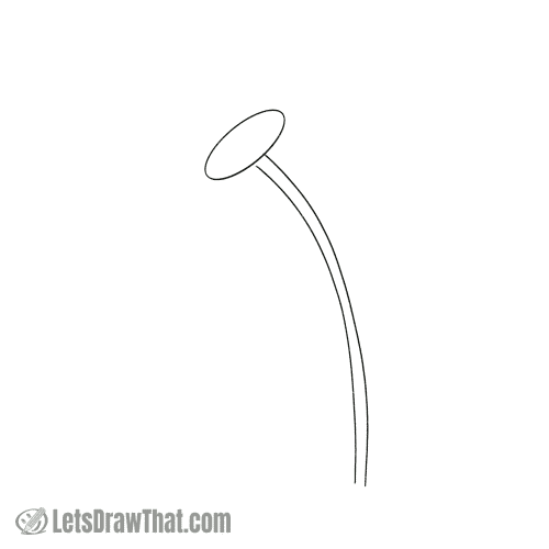 Drawing step: Sketch the stem and the centre of the flower