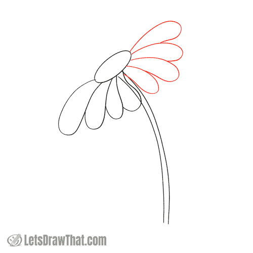 Drawing step: Finish the bottom row of petals