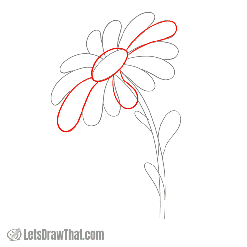 Drawing step: Outline the center and first petals