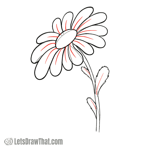 Drawing step: Add final details